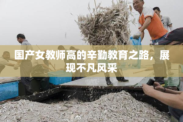 国产女教师高的辛勤教育之路，展现不凡风采