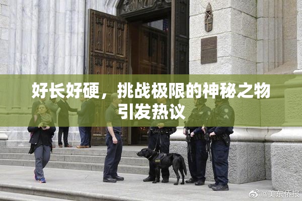 好长好硬，挑战极限的神秘之物引发热议
