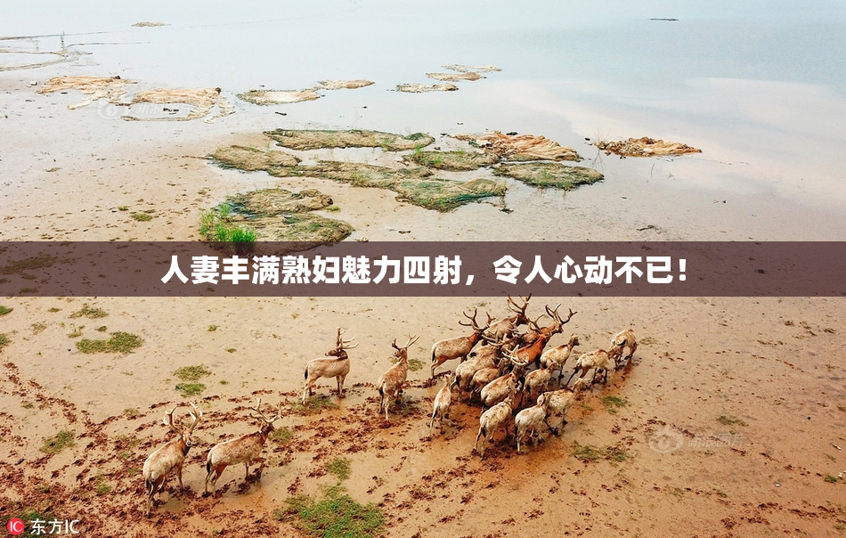 人妻丰满熟妇魅力四射，令人心动不已！