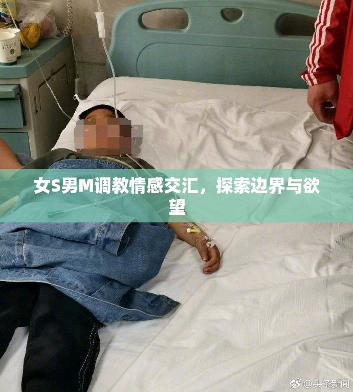 女S男M调教情感交汇，探索边界与欲望