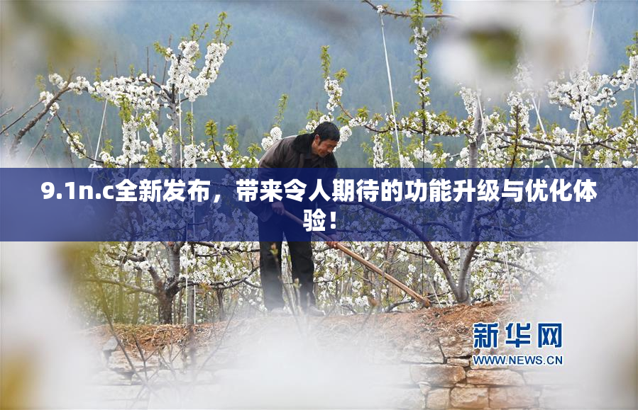 9.1n.c全新发布，带来令人期待的功能升级与优化体验！