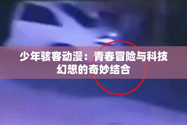 少年骇客动漫：青春冒险与科技幻想的奇妙结合