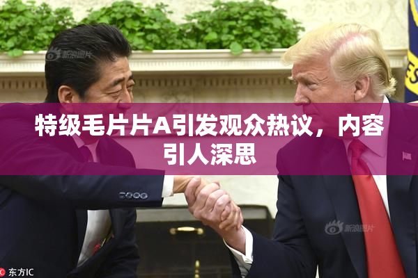 特级毛片片A引发观众热议，内容引人深思