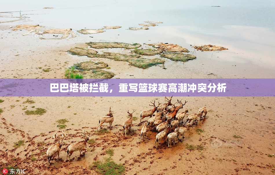 巴巴塔被拦截，重写篮球赛高潮冲突分析