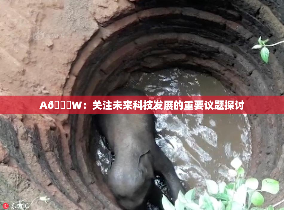 A🔞W：关注未来科技发展的重要议题探讨