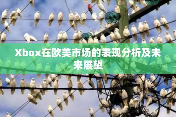 Xbox在欧美市场的表现分析及未来展望