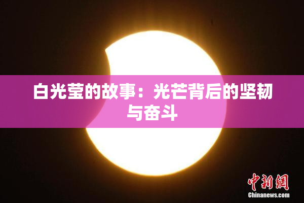白光莹的故事：光芒背后的坚韧与奋斗