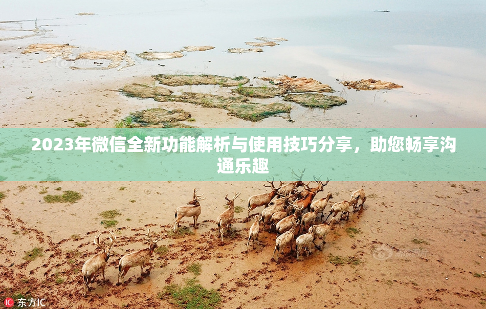 2023年微信全新功能解析与使用技巧分享，助您畅享沟通乐趣