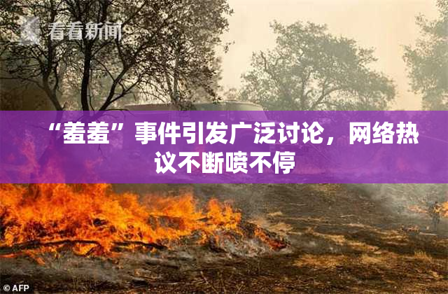 “羞羞”事件引发广泛讨论，网络热议不断喷不停
