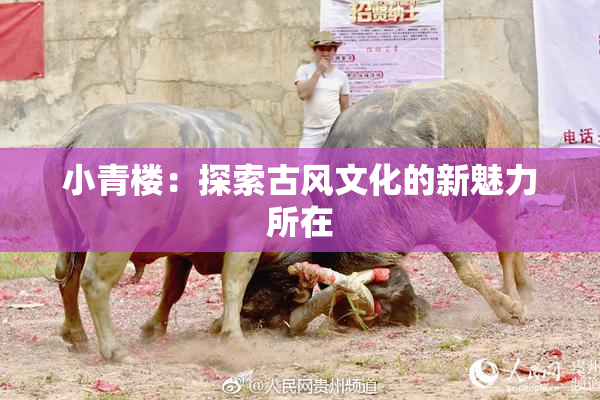 小青楼：探索古风文化的新魅力所在