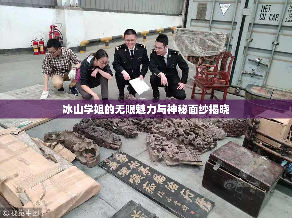 冰山学姐的无限魅力与神秘面纱揭晓