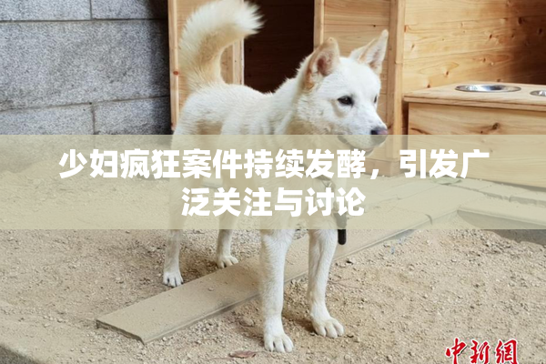 少妇疯狂案件持续发酵，引发广泛关注与讨论
