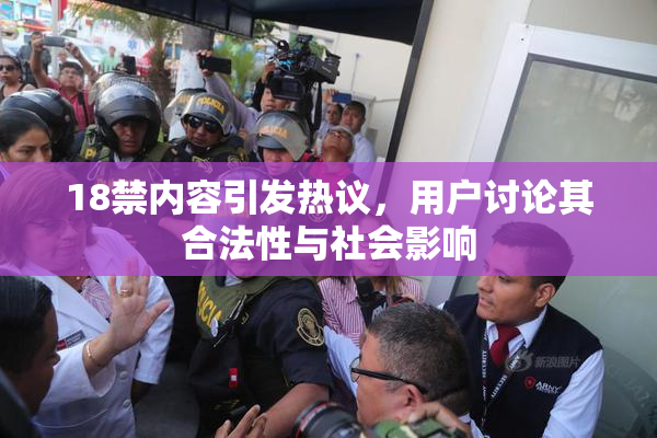 18禁内容引发热议，用户讨论其合法性与社会影响
