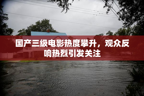 国产三级电影热度攀升，观众反响热烈引发关注