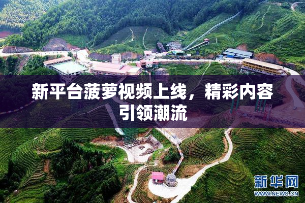 新平台菠萝视频上线，精彩内容引领潮流
