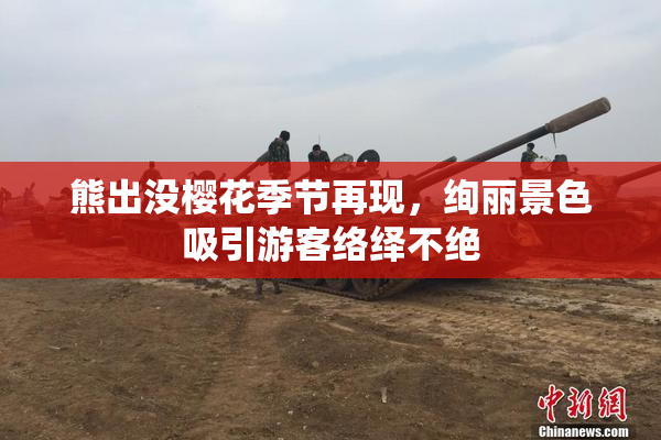 熊出没樱花季节再现，绚丽景色吸引游客络绎不绝