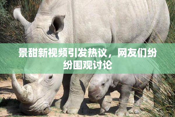 景甜新视频引发热议，网友们纷纷围观讨论