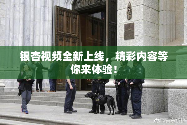 银杏视频全新上线，精彩内容等你来体验！