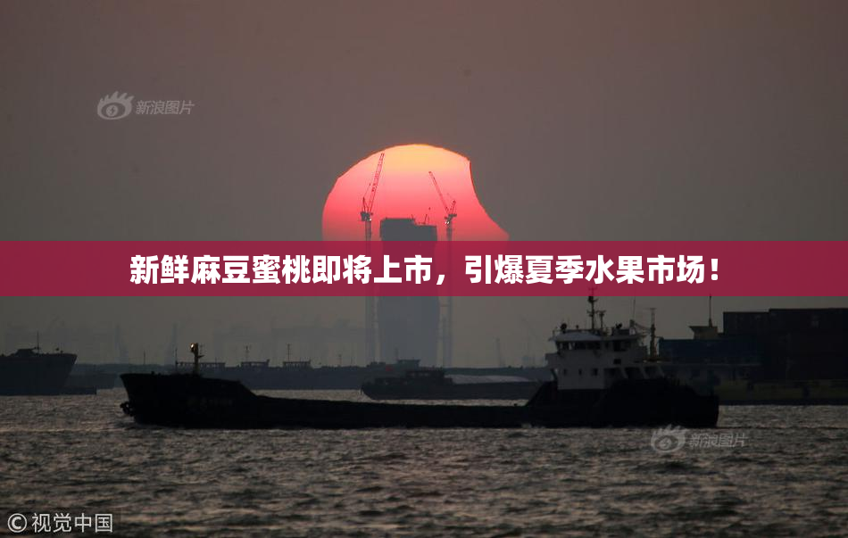新鲜麻豆蜜桃即将上市，引爆夏季水果市场！