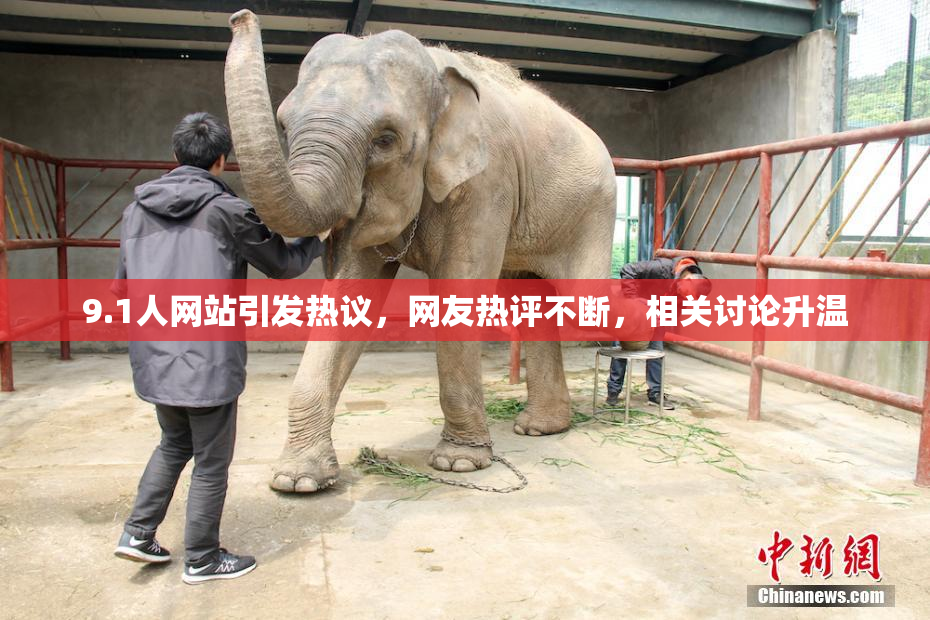 9.1人网站引发热议，网友热评不断，相关讨论升温