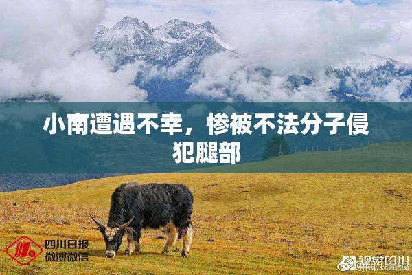 小南遭遇不幸，惨被不法分子侵犯腿部