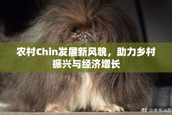 农村Chin发展新风貌，助力乡村振兴与经济增长