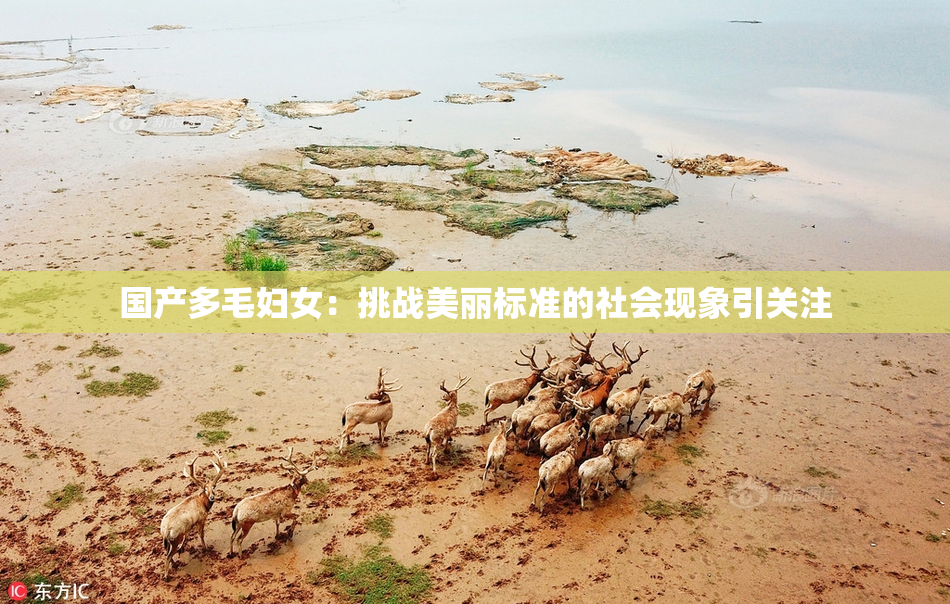 国产多毛妇女：挑战美丽标准的社会现象引关注