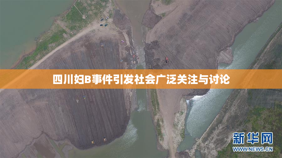 四川妇B事件引发社会广泛关注与讨论