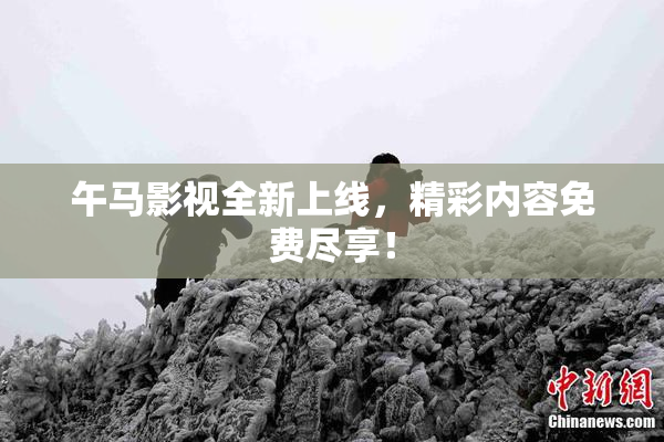 午马影视全新上线，精彩内容免费尽享！