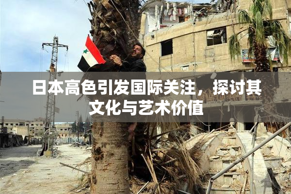 日本高色引发国际关注，探讨其文化与艺术价值