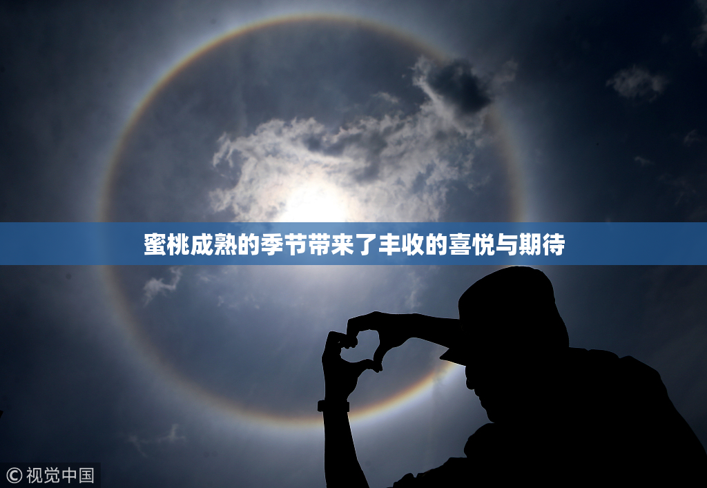 蜜桃成熟的季节带来了丰收的喜悦与期待