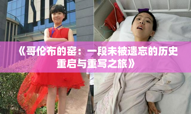 《哥伦布的窑：一段未被遗忘的历史重启与重写之旅》