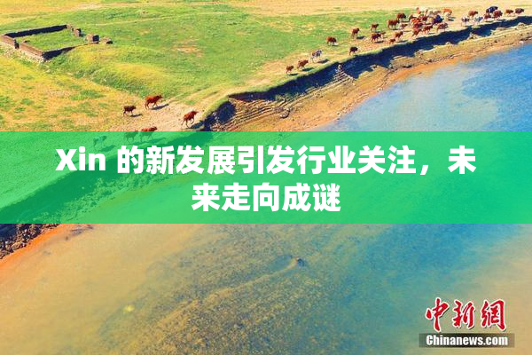 Xin 的新发展引发行业关注，未来走向成谜
