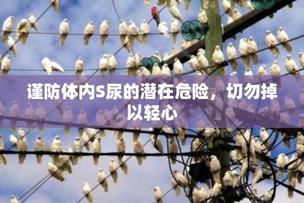 谨防体内S尿的潜在危险，切勿掉以轻心