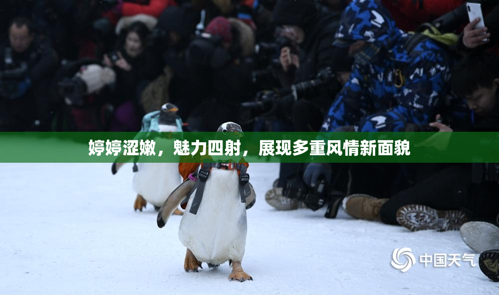 婷婷涩嫩，魅力四射，展现多重风情新面貌