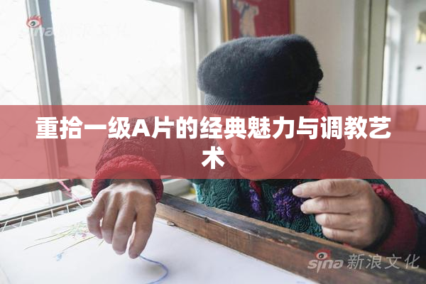 重拾一级A片的经典魅力与调教艺术