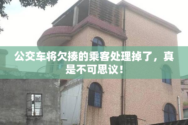 公交车将欠揍的乘客处理掉了，真是不可思议！