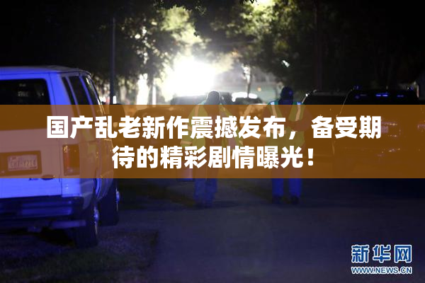 国产乱老新作震撼发布，备受期待的精彩剧情曝光！