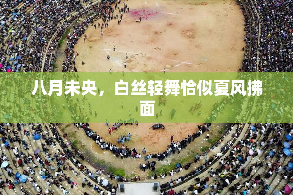 八月未央，白丝轻舞恰似夏风拂面