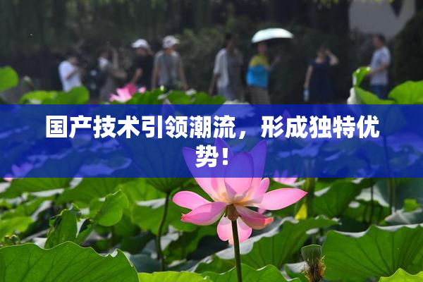 国产技术引领潮流，形成独特优势！