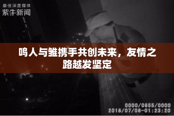 鸣人与雏携手共创未来，友情之路越发坚定