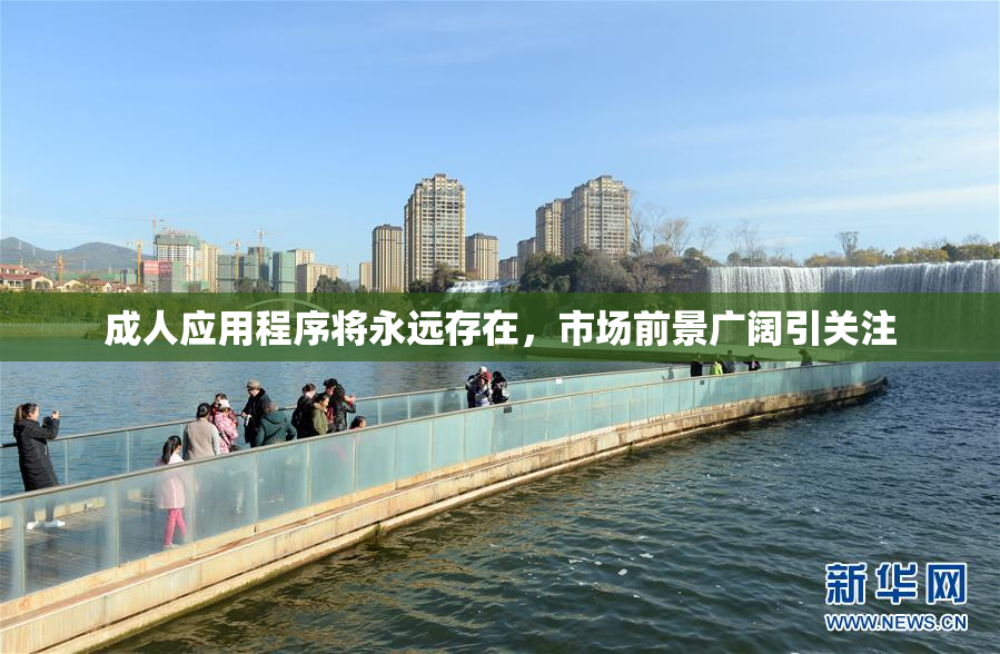 成人应用程序将永远存在，市场前景广阔引关注