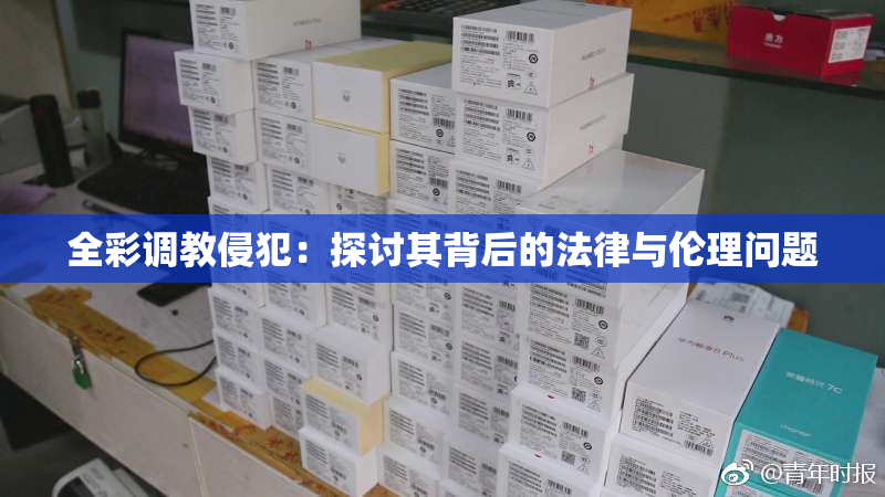 全彩调教侵犯：探讨其背后的法律与伦理问题