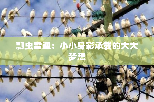 瓢虫雷迪：小小身影承载的大大梦想