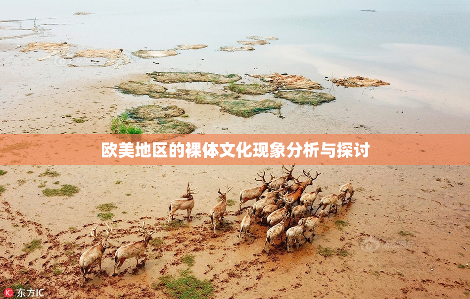 欧美地区的裸体文化现象分析与探讨