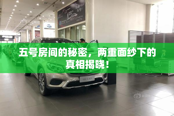 五号房间的秘密，两重面纱下的真相揭晓！