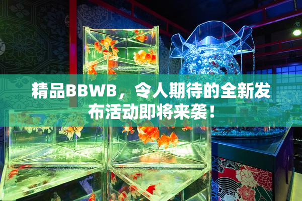 精品BBWB，令人期待的全新发布活动即将来袭！