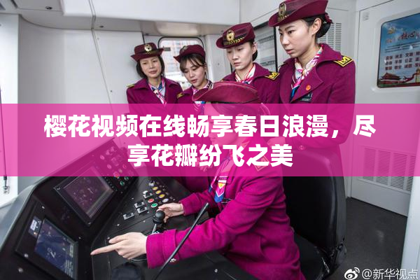 樱花视频在线畅享春日浪漫，尽享花瓣纷飞之美