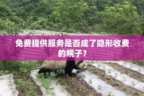 免费提供服务是否成了隐形收费的幌子？