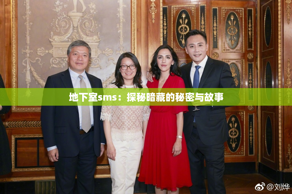 地下室sms：探秘暗藏的秘密与故事